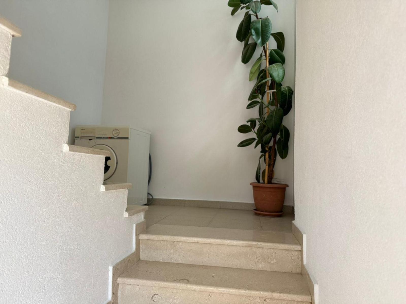 Apartment Amel's